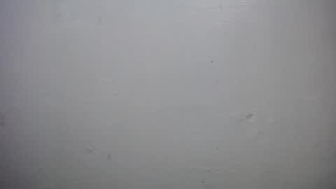 Snapshot of lisa_branch chatting on October 18, 2025, 10:16 am lisa_branch online show from October 18, 2025, 10:16 am