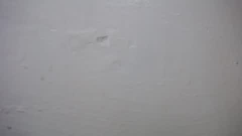 Snapshot of lisa_branch chatting on October 27, 2025, 10:41 am lisa_branch online show from October 27, 2025, 10:41 am