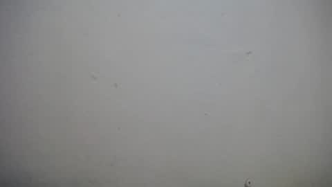 Snapshot of lisa_branch chatting on November 3, 2025, 10:38 am lisa_branch online show from November 3, 2025, 10:38 am