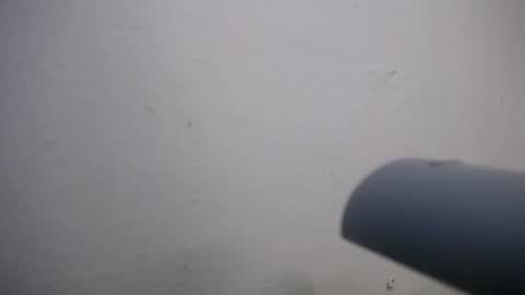 Snapshot of lisa_branch chatting on November 4, 2025, 7:02 pm lisa_branch online show from November 4, 2025, 7:02 pm