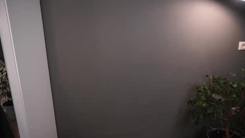 Elisabeth or Lisa online show from November 26, 2025, 8:21 pm