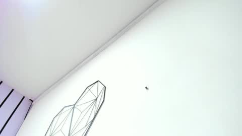 lisa white  online show from November 19, 2025, 12:38 pm