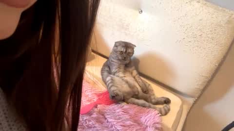 Catherine online show from October 7, 2025, 2:09 am