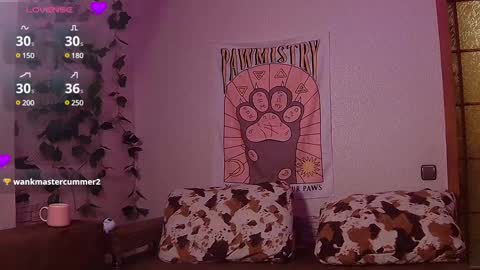 Sofia online show from February 22, 2025, 6:30 pm