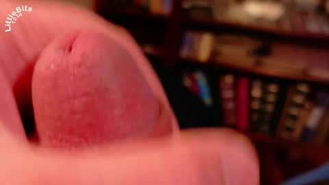 Littlebits online show from April 28, 2026, 2:33 pm