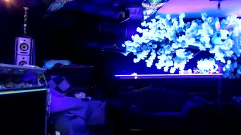 Snapshot of littlemissmarly chatting on January 15, 2025, 8:09 am GentleViolet online show from January 15, 2025, 8:09 am