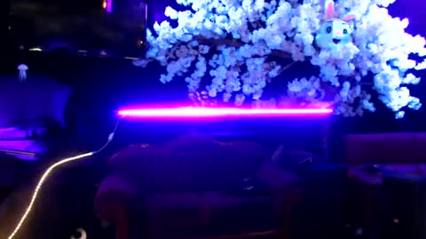 Snapshot of littlemissmarly chatting on January 30, 2025, 5:52 am GentleViolet online show from January 30, 2025, 5:52 am