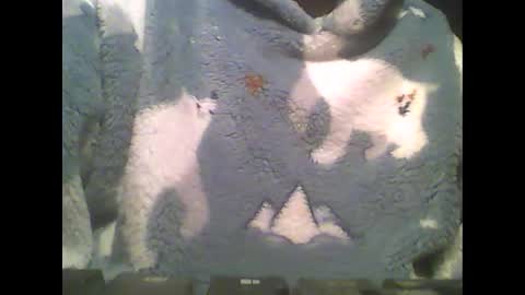 Snapshot of littlepaul2 chatting on February 14, 2025, 9:10 pm LittlePaul online show from February 14, 2025, 9:10 pm