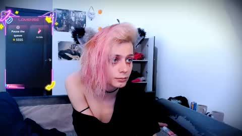 Snapshot of littlepinkcat chatting on October 2, 2025, 3:02 am Felix online show from October 2, 2025, 3:02 am