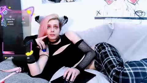 Snapshot of littlepinkcat chatting on October 10, 2025, 6:34 am Felix online show from October 10, 2025, 6:34 am