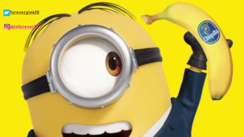 Pinky online show from December 4, 2024, 9:07 am