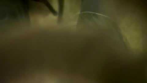 Little Tj online show from April 6, 2026, 4:57 am