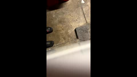 Little Tj online show from May 25, 2026, 4:29 am