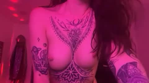 Snapshot of littykittyxxx chatting on July 1, 2026, 4:25 am littykittyxxx online show from July 1, 2026, 4:25 am