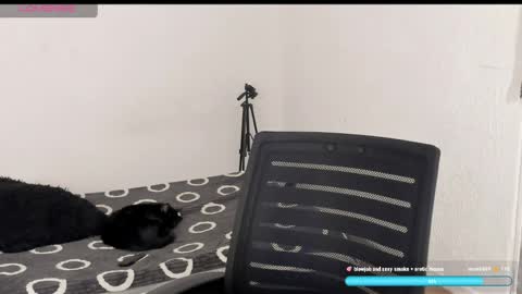 Liu help me to reach 100 thumps up daddy online show from April 6, 2026, 9:38 pm