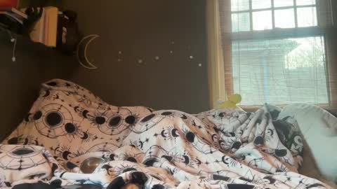 lizzybunny online show from March 5, 2025, 4:57 pm