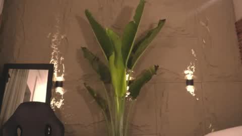 logan_varela online show from March 1, 2025, 9:18 am