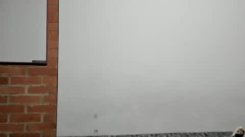 Logan online show from April 9, 2026, 3:06 am