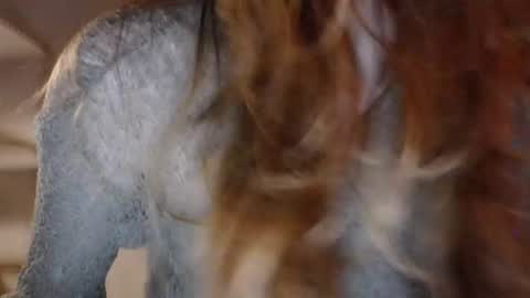 Snapshot of lola_dinky chatting on May 14, 2026, 8:26 pm Lola online show from May 14, 2026, 8:26 pm