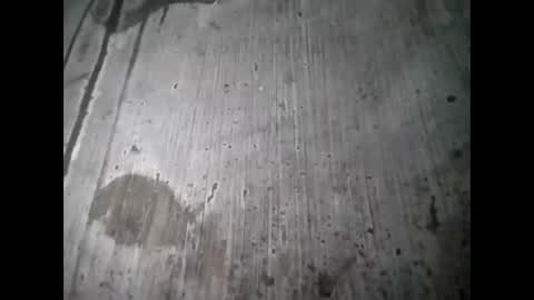 tey online show from September 12, 2025, 7:19 am