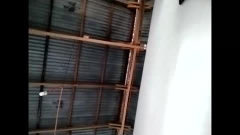 tey online show from November 12, 2025, 11:25 pm