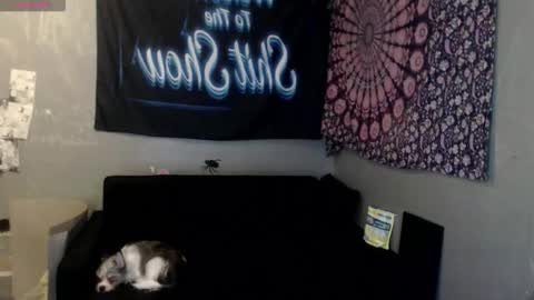 londonray online show from October 8, 2025, 6:11 am