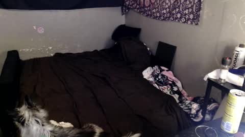 londonray online show from March 8, 2026, 8:23 pm