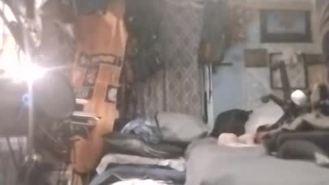 Mr. FogoDeChao online show from April 20, 2026, 12:57 am