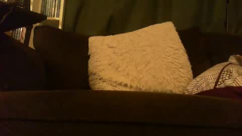 longlorne online show from February 12, 2026, 5:13 am