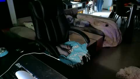 Snapshot of loov2watch chatting on June 2, 2026, 4:09 pm Mato online show from June 2, 2026, 4:09 pm