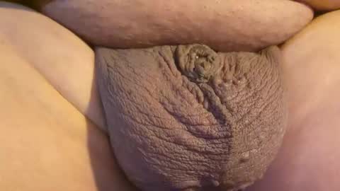 2791 3D online show from April 23, 2026, 12:12 am