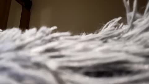 Lora online show from January 15, 2025, 8:05 pm