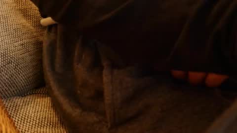 lostinspaxe online show from November 28, 2025, 5:26 pm