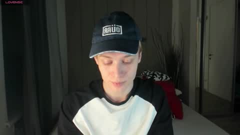 Snapshot of louie_evans chatting on January 14, 2026, 10:36 pm louie_evans online show from January 14, 2026, 10:36 pm