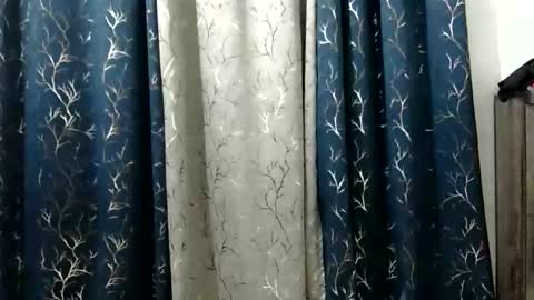 Riva online show from February 17, 2026, 10:34 am