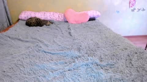 cat-girl online show from January 1, 2025, 5:22 pm