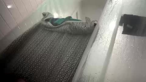 lovefeetonmyface29 online show from September 22, 2025, 9:55 am