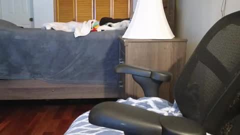 Amber online show from November 3, 2025, 3:19 am