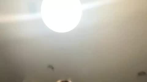 Snapshot of lovellly_ chatting on January 24, 2025, 10:51 pm Love online show from January 24, 2025, 10:51 pm