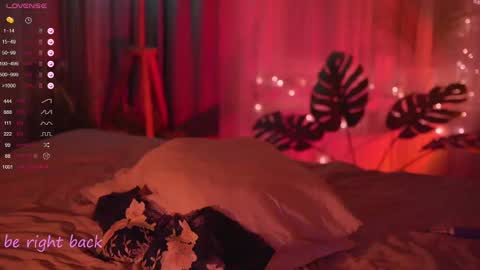 Nelly online show from February 20, 2025, 8:36 pm