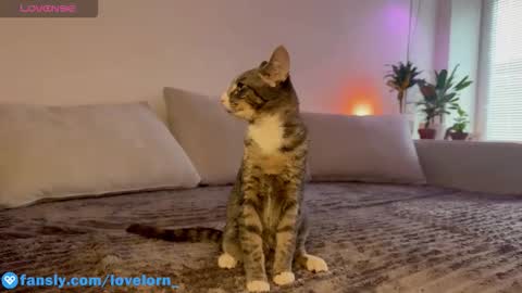 Elsa online show from October 22, 2025, 11:54 am