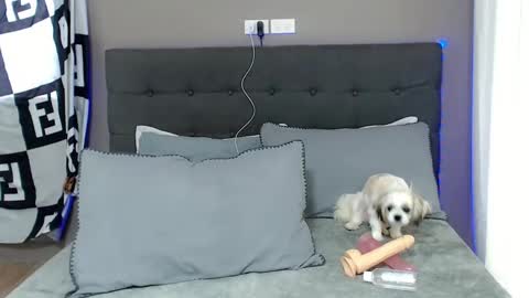 Jastine online show from December 2, 2024, 1:58 am