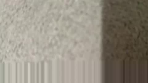 lovepan69 online show from March 25, 2026, 2:28 am