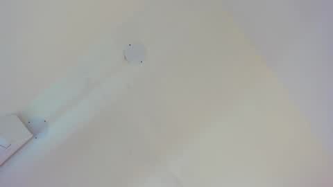 L O V E  online show from February 26, 2026, 11:31 am