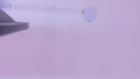 L O V E  online show from April 21, 2026, 11:27 am