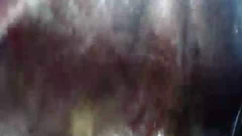 Mature lover2 online show from February 21, 2025, 10:37 pm