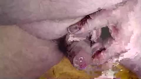 lover_troll online show from February 16, 2026, 10:44 am