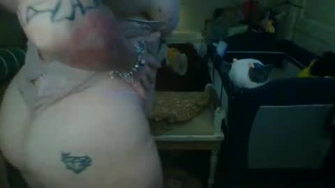 lovetubes101 online show from October 3, 2025, 1:13 am