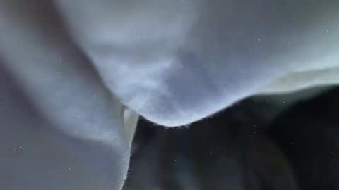 Snapshot of lpd432 chatting on May 27, 2026, 9:12 pm Milk Me online show from May 27, 2026, 9:12 pm