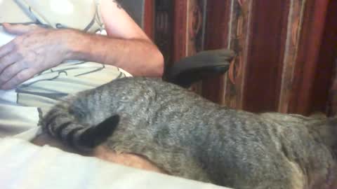 Snapshot of lucb1 chatting on August 1, 2026, 8:52 pm Luc online show from August 1, 2026, 8:52 pm